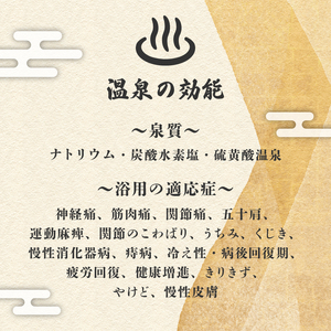  入場券 4枚 温泉 サウナ 温泉【入場券】サウナ shiroyama001