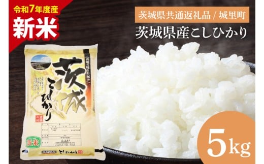 【数量限定】【令和7年度産 新米】【9月中旬より順次発送】茨城県産こしひかり 5kg（茨城県共通返礼品/城里町）【お米 ごはん こしひかり おいしい 白米 茨城県産 水戸市】（IH-6149）