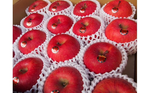 08-10-047　りんご(サンふじ)5kg