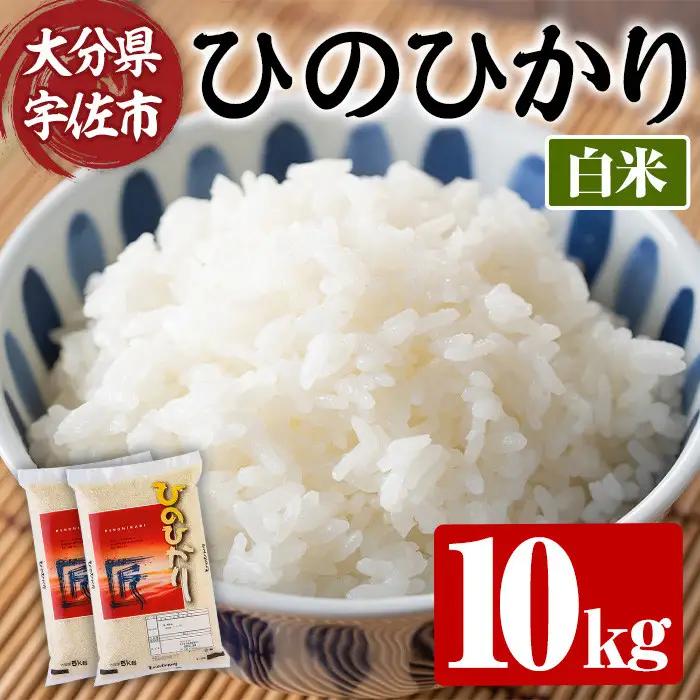 ＜令和7年産＞ひのひかり 白米 (計10kg・5kg×2P) お米 ごはん ご飯【107101103】【あいはな農園】