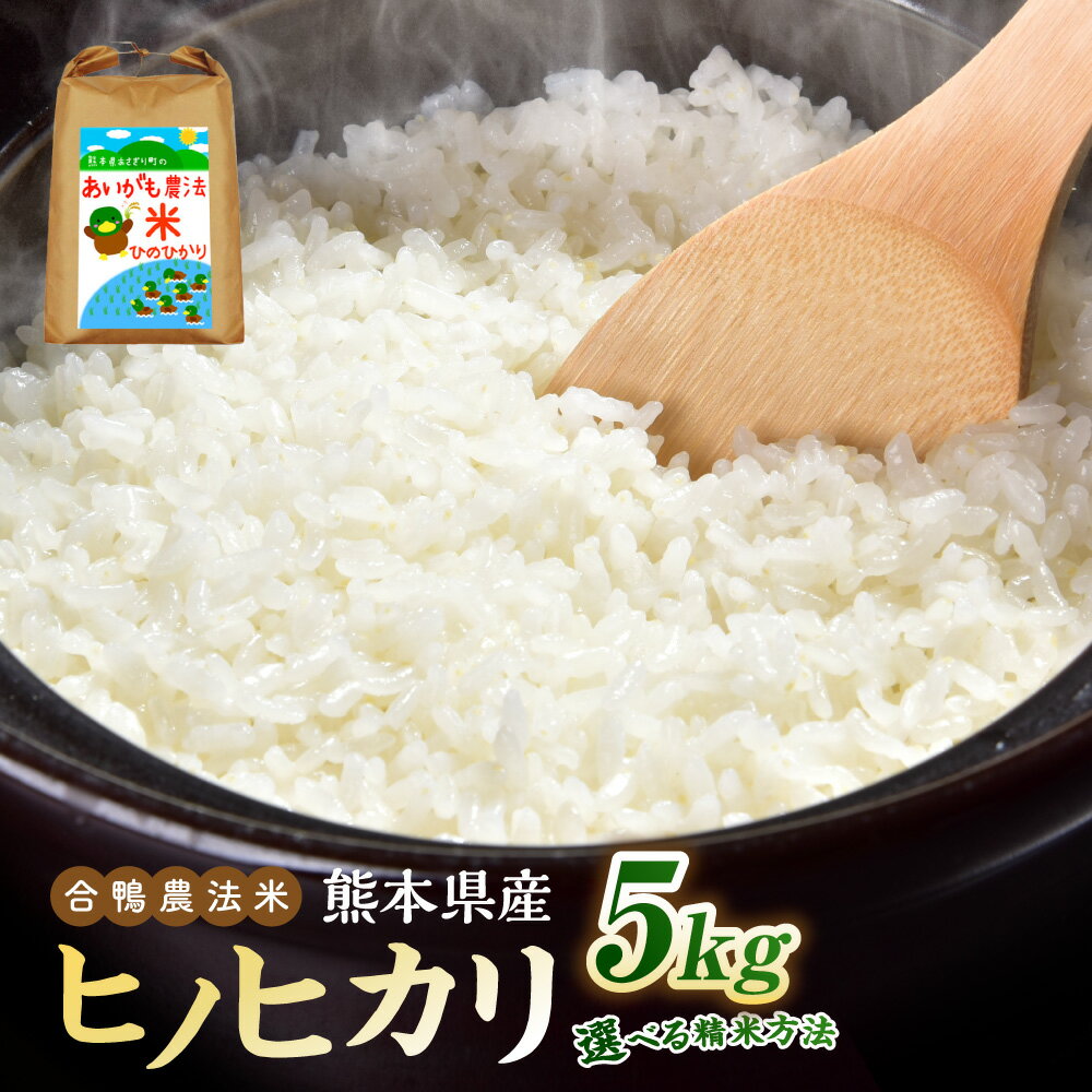 【ふるさと納税】令和7年産 合鴨農法米 ヒノヒカリ 白米 5kg×1袋 （ 精米（白米）／ 玄米／ 精米（7分づき）／ 精米（5分づき）） 【選べる種類】 お米 米 ライス 弁当 お弁当 おにぎり 炭水化物 農薬・化学肥料不使用 合鴨農法 熊本県産 熊本県 あさぎり町 常温 送料無料