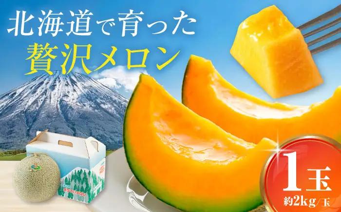【先行予約】赤肉メロン 1玉 [AJAK023] メロン 夏