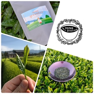 MINOgreentea 詰め合わせセット(季節のおまけ付) ／ 煎茶 玄米茶 ほうじ茶 無農薬 オーガニック 有機 お茶 リーフ ティーバッグ 三重県 度会町