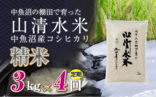 【定期便／全4回】精米3kg 新潟県魚沼産コシヒカリ「山清水米」 
