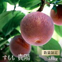 【ふるさと納税】先行予約 すもも 貴陽 約1.8kg 2025年産 冷蔵出荷 ＜出荷時期：2025年7月下旬～8月上旬ごろ＞【フルーツ　日本一すももの産地　南アルプス 山梨県 南アルプス市 】