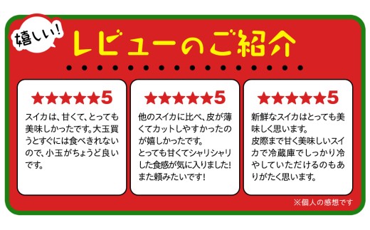 《 2027年 収穫分 》 小玉 スイカ スウィートキッズ 4玉 先行予約 国産 藤田益弘 小玉スイカ すいか 小玉すいか こだますいか 国産 西瓜 フルーツ 果物 くだもの 農家直送 旬 甘い ギフト 人気 産直 [CQ008sa]
