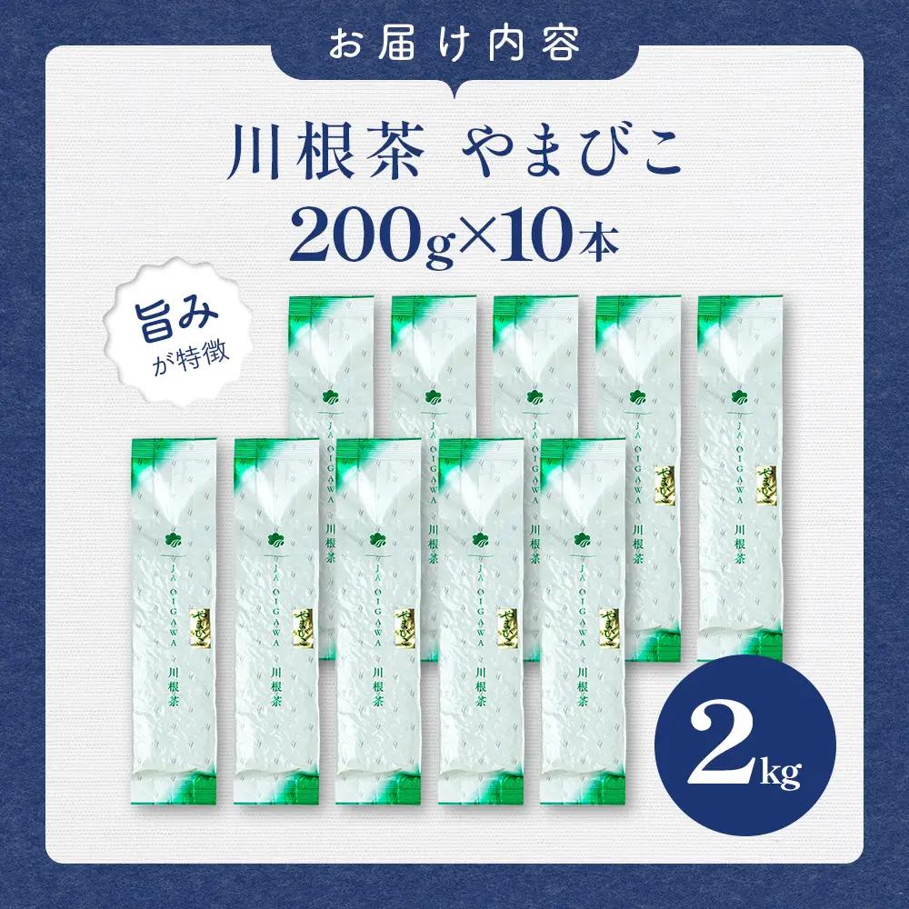 32-6 川根茶 どっさり ご家庭用飲み茶2kg セット やまびこ 200ｇ袋×10本