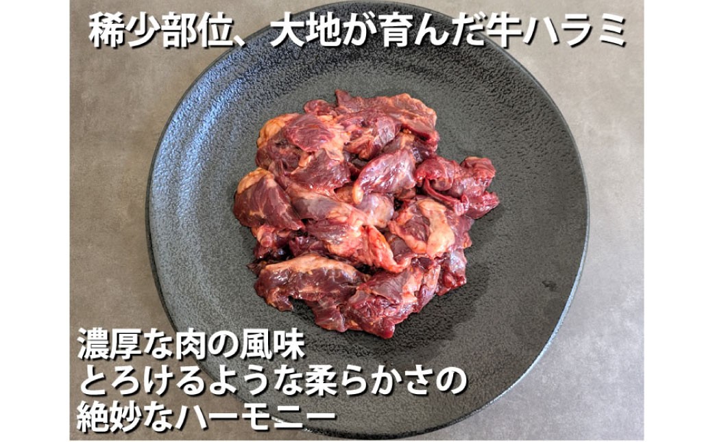 国産牛ハラミ 計700g（350g×2パック）