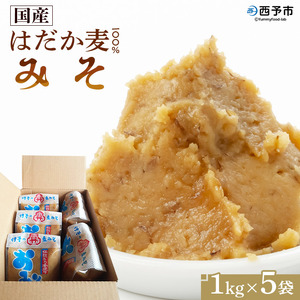 天然醸造 国産はだか麦１００％味噌（１kg×５個） MDM0001