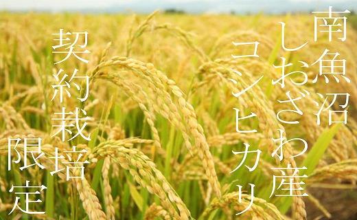【令和7年産】【精米4Kg】契約栽培限定 南魚沼しおざわ産コシヒカリ