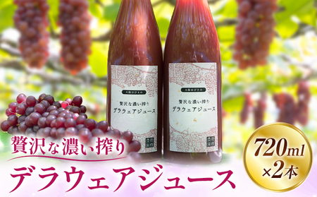 贅沢な濃い搾り デラウェアジュース 720ml × 2本 優樹農園《90日以内に出荷予定(土日祝除く)》大阪府 羽曳野市 デラウェア ジュース 葡萄 ｜ぶどうぶどうぶどうぶどうぶどうぶどうぶどうぶどうぶどうぶどうぶどうぶどうぶどうぶどうぶどうぶどうぶどうぶどうぶどうぶどうぶどうぶどうぶどうぶどうぶどうぶどうぶどうぶどうぶどうぶどうぶどうぶどうぶどうぶどうぶどうぶどうぶどうぶどうぶどうぶどうぶどうぶどうぶどうぶどうぶどうぶどうぶどうぶどうぶどうぶどうぶどうぶどうぶどうぶどうぶどうぶどうぶどうぶどうぶどうぶどう