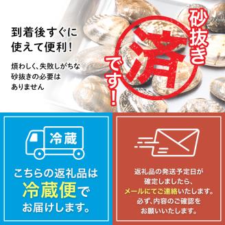 砂出し済 大粒の天然あさり1kg ふるさと納税 あさり _F4F-0344