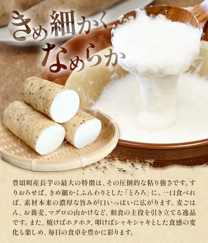 【ふるなびWEEK対象】 秋掘り ながいも 5kg 植村農場《12月上旬頃から出荷》