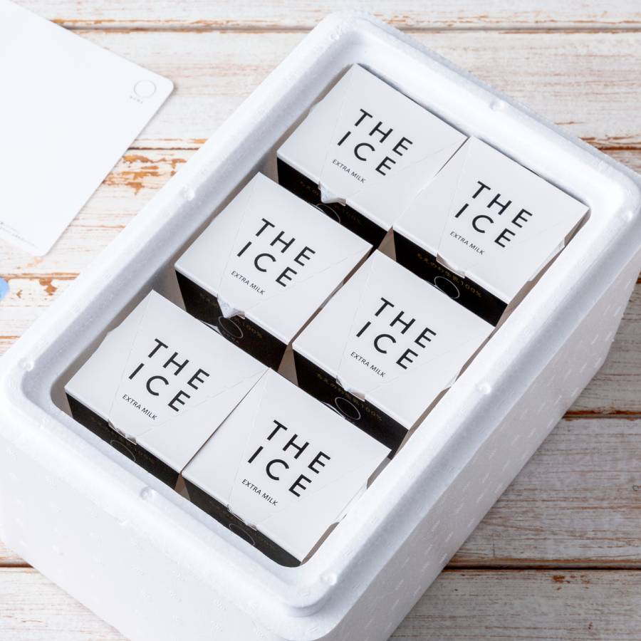 ＜NOWA＞THE ICE　EXTRA MILK 100ml×6個