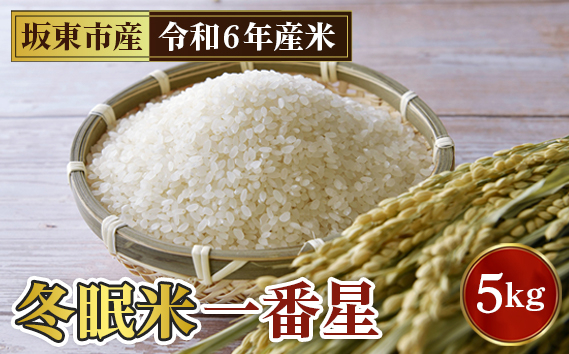 
No.761 「令和6年産」冬眠米一番星　5kg ／ お米 コメ 大粒 甘み 茨城県 特産品
