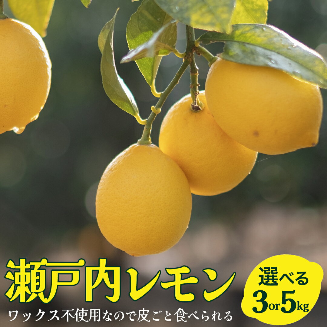 【ふるさと納税】せとうちレモン 約3kg/約5kg 12～2月発送 瀬戸内 国産 レモン 瀬戸内レモン 檸檬 柑橘 防腐剤 ワックス 不使用 皮まで丸ごと食べられる 広島県 大崎上島町 離島 産地直送 岩崎農園