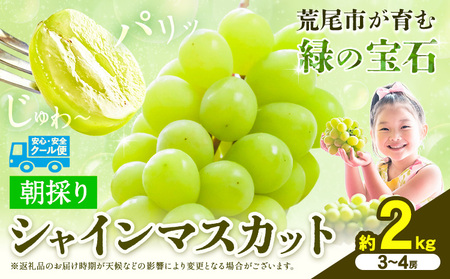【先行予約】 シャインマスカット 約2kg（3-4房） 《8月下旬-9月末頃出荷》大容量 シャインマスカット フルーツ シャインマスカット 期間限定 シャインマスカット 前田果樹園
