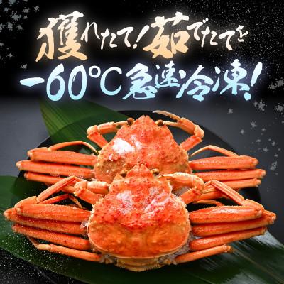 ふるさと納税 美浜町 ≪冷凍≫漁期に獲れた越前セイコガニ大2杯を茹でてそのまま-60℃で急速冷凍しました! |  | 01