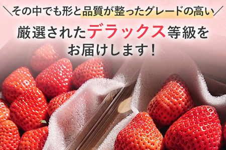 【2027年発送先行予約】あまおうデラックス（約250‐270g x4パック） お取り寄せグルメ お取り寄せ 福岡 お土産 九州 福岡土産 取り寄せ グルメ 福岡県