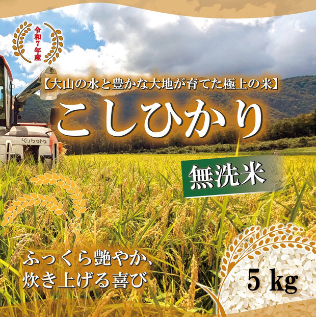 令和7年産　山崎農園こしひかり　無洗米5kg 313726_CH005
