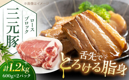 三元豚 ロースブロック1.2kg（600g×2パック）《喜茂別町》【平田牧場】 肉 豚肉 ロース ブロック ローストポーク 煮豚 酢豚 煮物 冷凍配送[AJAP071]