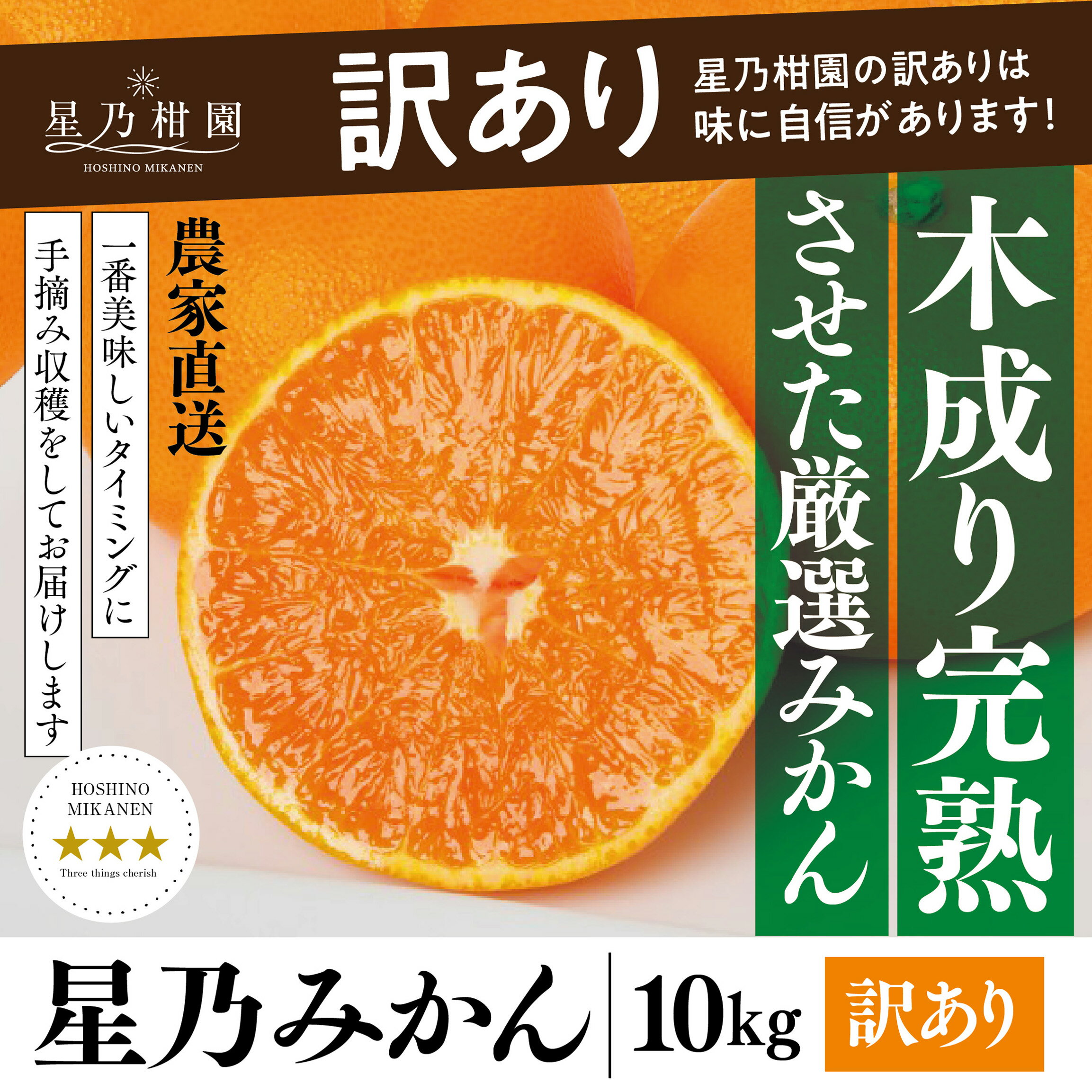 【ふるさと納税】【訳あり】星乃みかん園の星乃みかん(10kg)【C45-64】_ 蜜柑 ミカン 温州みかん わけあり 送料無料 木成り 完熟 厳選 農家直送 愛媛みかん 愛媛 国産 箱 フルーツ 果物 くだもの 旬 不揃い 産地直送 【1339361】