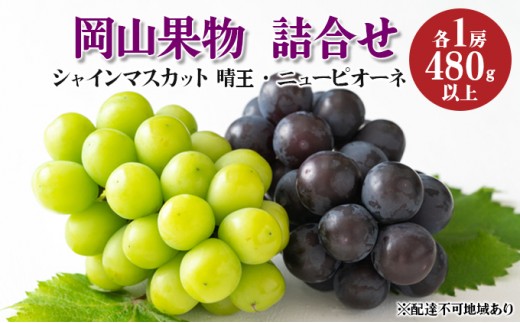 
                  【×】ぶどう 2024年 先行予約 果物 詰合せ ニュー ピオーネ 1房 480g以上／ シャイン マスカット 1房 晴王 480g以上 化粧箱入り ブドウ 葡萄  岡山県産 国産 フルーツ 果物 ギフト 果物類 
                
