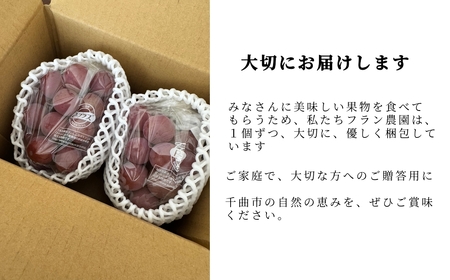 【2026年先行予約】クイーンルージュR? 900g以上（2房）｜クイーンルージュR?