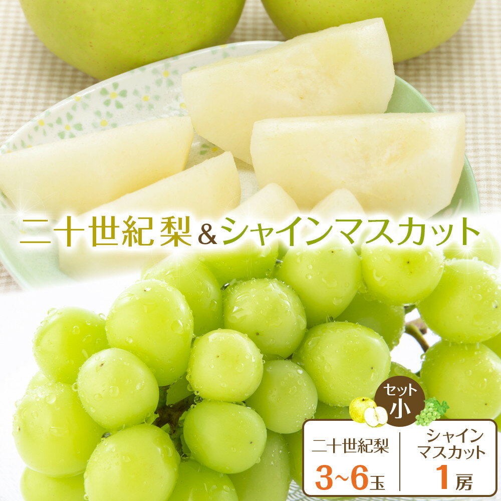 【ふるさと納税】286.【先行予約】二十世紀梨とシャインマスカットのセット 小 ※8月下旬～9月下旬頃に順次発送予定 | 先行予約 梨 なし 果物 フルーツ くだもの 鳥取県 北栄町 おすすめ 人気 送料無料