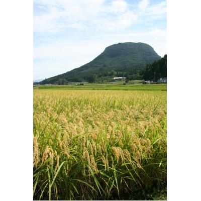ふるさと納税  玖珠町 玖珠米・厳選玖珠米「ひとめぼれ」白米20kg(5kg×各2袋)のセット |  | 01