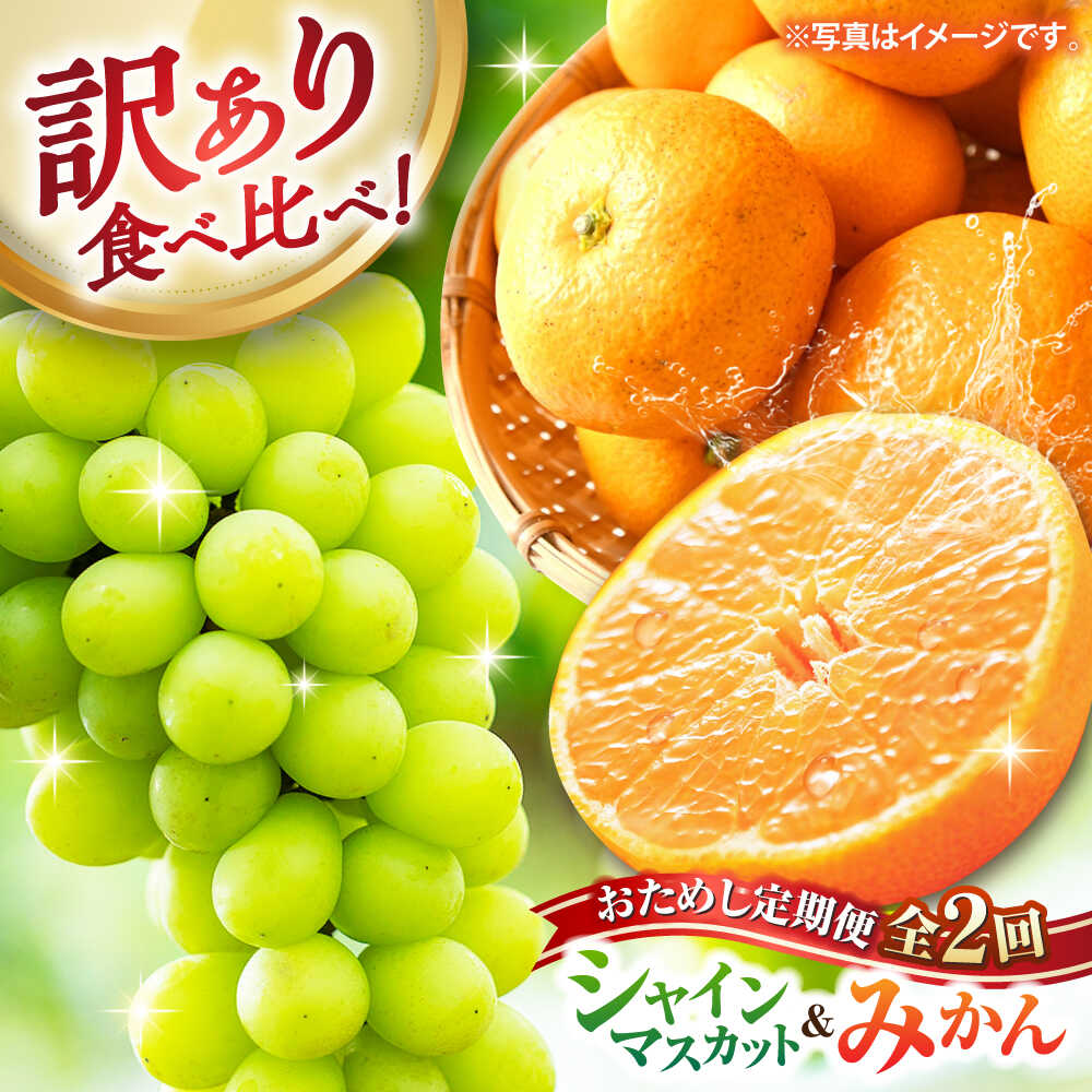 【ふるさと納税】【楽天限定】 【先行予約】 【全2回定期便】 社方園 おためし定期便 （訳あり シャインマスカット約700g ＆ みかん約3kg） 食べ比べ 【合同会社 社方園】[ZBZ052]