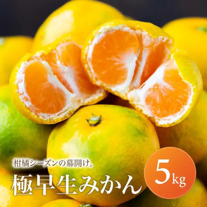 愛媛 極早生 みかん 家庭用 5kg 【2026年10月上旬頃から順次発送】 | 温州みかん ミカン ごくわせ mikan みかん 蜜柑 訳ありフルーツ 柑橘 果物 おすすめ お勧め お取り寄せ ギフト 愛媛県 松山市 【MKN070】