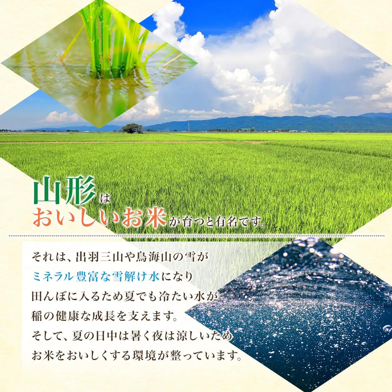 【令和8年産 新米】ひとめぼれ 無洗米10kg(5kg×2袋) 山形県鶴岡市産 らん工房