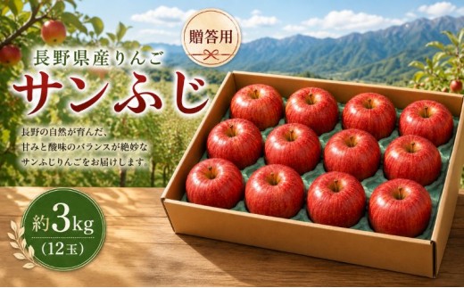 りんご 長野 贈答用 リンゴ サンふじ 約3kg （12玉） 産地直送 ギフト プレゼント 贈答 贈答品 贈り物 フルーツ 果物 デザート サンフジ 秋 旬 信州 長野県 長野県産 [№5659-1552]