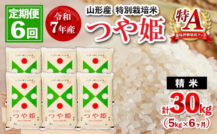 
            ★配送開始月が選べる★【定期便6回】 先行予約 令和7年産 山形産 特別栽培米 つや姫 5kg×6ケ月(計30kg) 
          