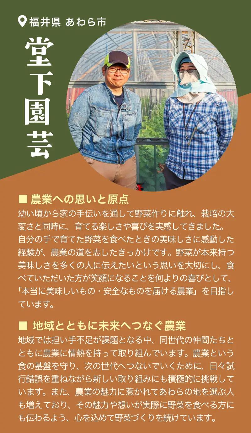 【先行予約】農家直送 秋野菜セット 1箱 7品目以上 《元気に育った新鮮野菜！》／ 福井 あわら市 季節 秋 野菜 ボックス BOX セット セレクト 農家 おまかせ 多品目 旬 詰め合わせ ※202