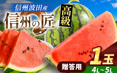 【先行受付：2026年7月発送】信州波田産 高級スイカ！信州の匠 【特選】 4L～5Lサイズ 1玉