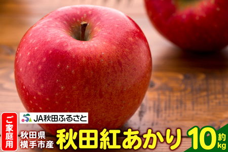 【11月中旬より発送】りんご 秋田紅あかり 家庭用 約10kg（32～40玉）