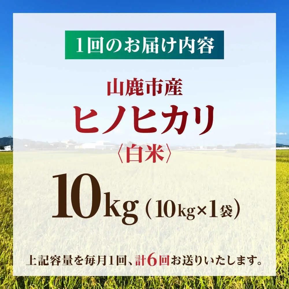 【先行予約】【6回定期便】山鹿市産 ヒノヒカリ 白米  10kg 【奥村果実園】[ZFK015]
