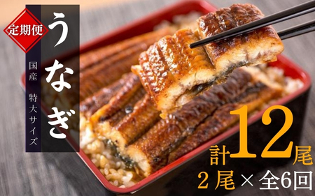 【全6回定期便】大型サイズ ふっくら柔らか 国産うなぎ蒲焼き 2尾×6回 計12尾 約2040g /  うなぎ うなぎ蒲焼 うなぎの蒲焼 鰻蒲焼 国産うなぎ 国産 蒲焼 蒲焼き たれ 人気 定期便 6回定期便 魚介類【tkb310】