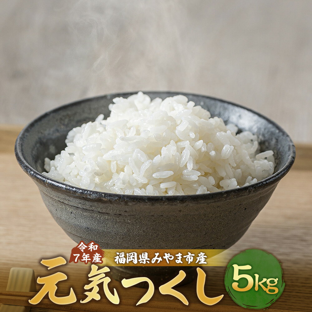 【ふるさと納税】A324 【令和7年産】アッキーファームのお米「元気つくし」 5kg 白米 げんきつくし お米 こめ 精米 単一原料米 ごはん ご飯 福岡県産 国産 福岡県 みやま市 送料無料 【2025年11月上旬～2026年8月下旬まで順次発送予定】