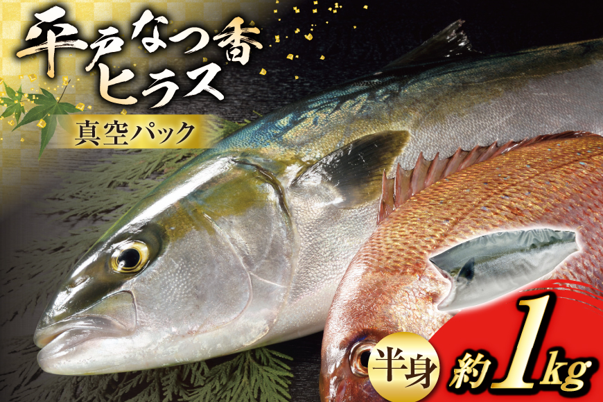 刺身 ヒラマサ 平戸なつ香 ヒラス 半身 約1kg [（株）坂野水産 長崎県 平戸市 hr42bgy420005] 魚介 さかな お刺身 刺身用 さしみ 柵 冷蔵 下処理済 簡単調理 時短 おかず フルーツ魚 夏香 鮮魚 海鮮 鍋 海鮮丼 切り身 生食 生食用
