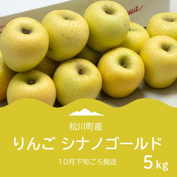 【ふるさと納税】りんご シナノゴールド（松川町産）秀品 約5キロ／2025年10月下旬頃 配送予定//長野県 南信州 松川町 りんご リンゴ 林檎 シナノゴールド 贈答 黄色りんご AS08