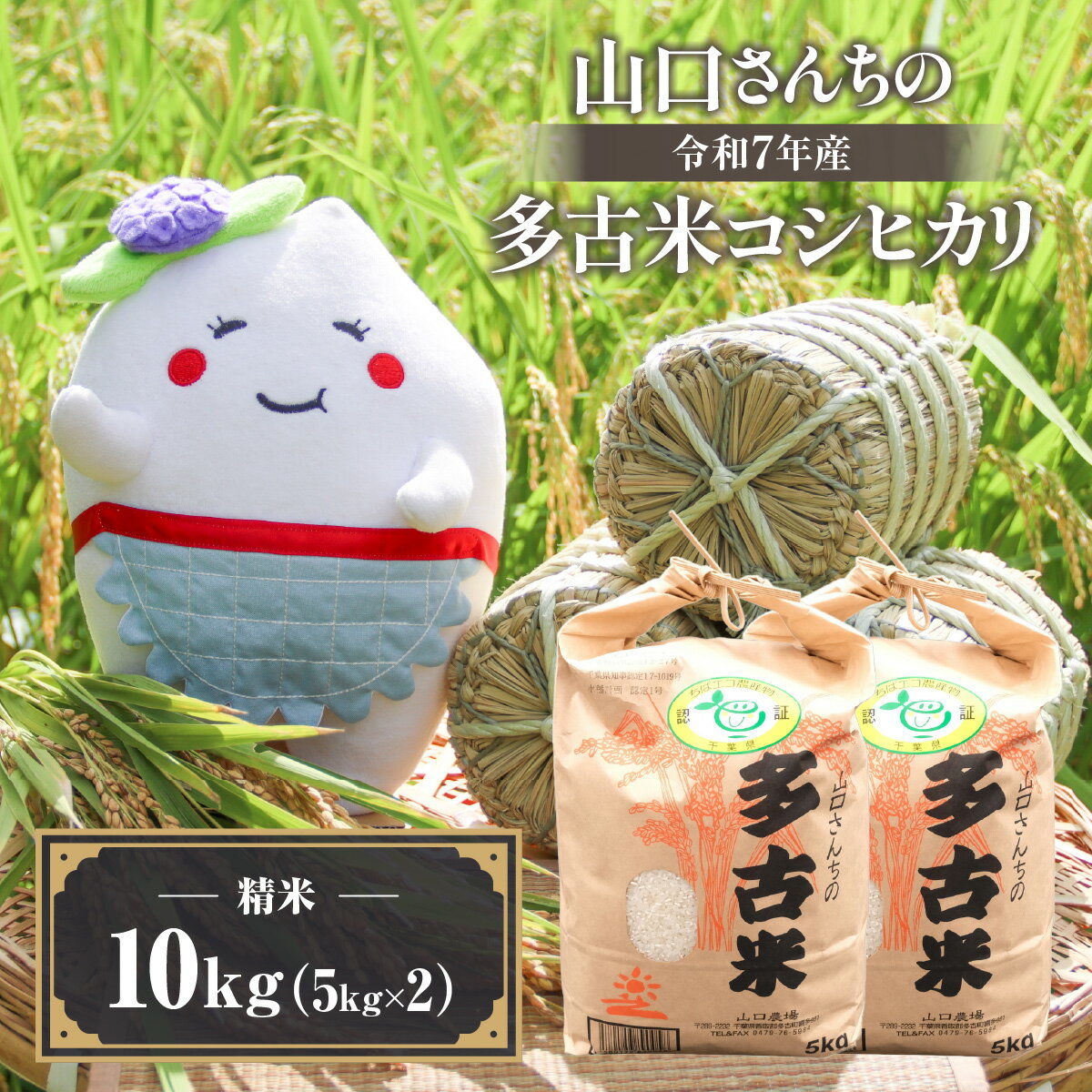 【ふるさと納税】山口さんちの【令和7年産】多古米コシヒカリ(精米)10kg【配送不可地域：離島・沖縄県】【TAKF044】