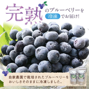 冷凍ブルーベリー 1kg_冷凍 ブルーベリー １kg 完熟 自家農園 ミキサー アイス ヨーグルト シャーベット スムージー アントシアニン 疲れ目 腸内環境 国産 ジャム レシピ 冷凍フルーツ 果物