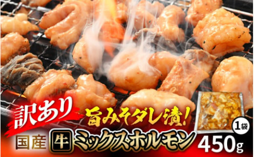 【訳あり】国産 牛 ミックスホルモン 450g × 1袋 シマチョウ・ぷるぷる小腸・ハチノス・センマイ・ミノ・タケノコ 旨みそダレ漬！【3月発送】【 お手軽 冷凍 BBQ バーベキュー 】 [e03-a059_03]