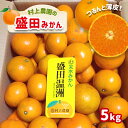 【ふるさと納税】みかん 盛田みかん 5kg 盛田温州 村上農園 数量限定 大小混合 産地直送 生産者直送 希少品種 減農薬 薄皮 玉名 熊本 送料無料