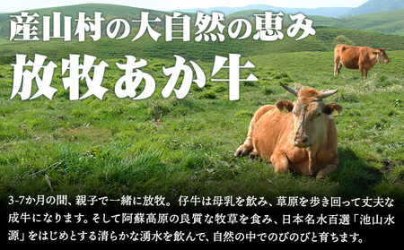 あか牛 すきやきセット 霜降り ロース モモ肉 すきやき|焼肉正
