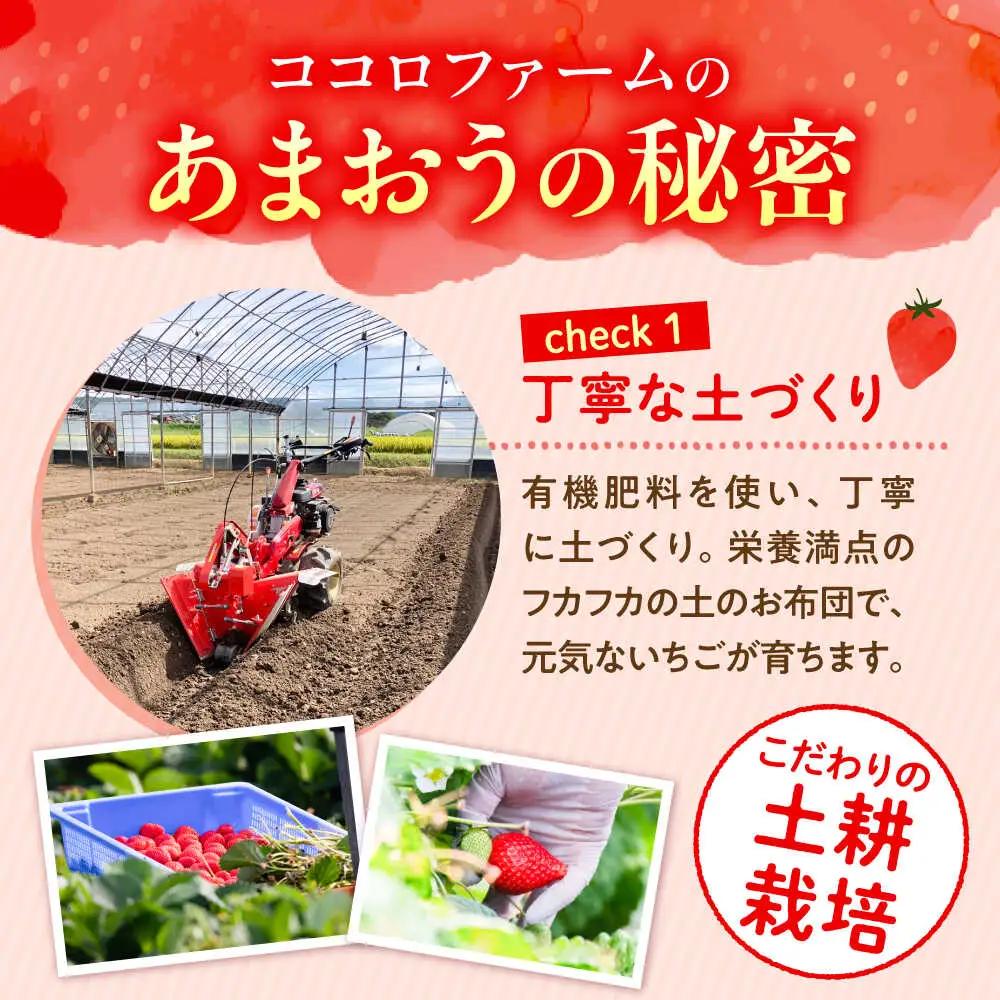 【先行予約】ココロファームの濃厚あまおう 270g×4P VAE022 いちご あまおう