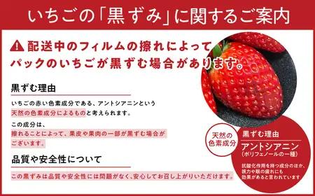 【2027年（令和9年）1月～発送】古都華大粒_贈答用×1パック